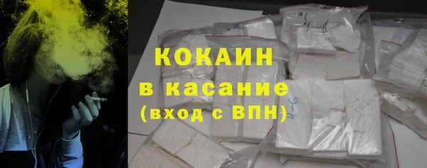 сатива Вяземский