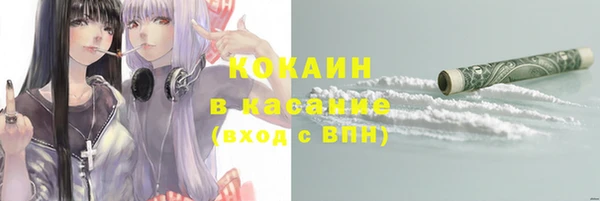сатива Вяземский
