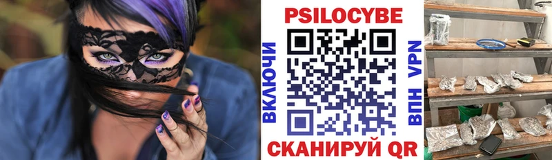 Псилоцибиновые грибы Psilocybe  Вилюйск 